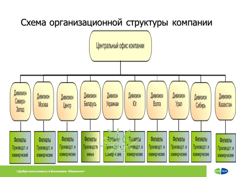«Добро пожаловать в Компанию Юнимилк» Схема организационной структуры компании